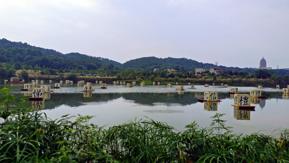 美丽吉安：后河景区风光欣赏（芦荻园处）