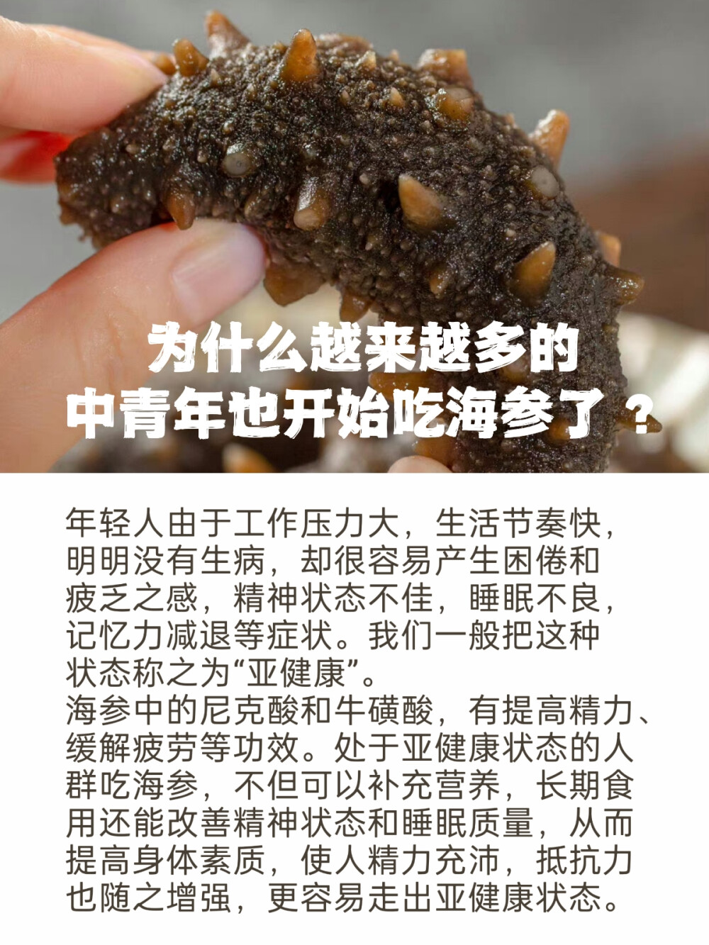 海参的解疑答惑