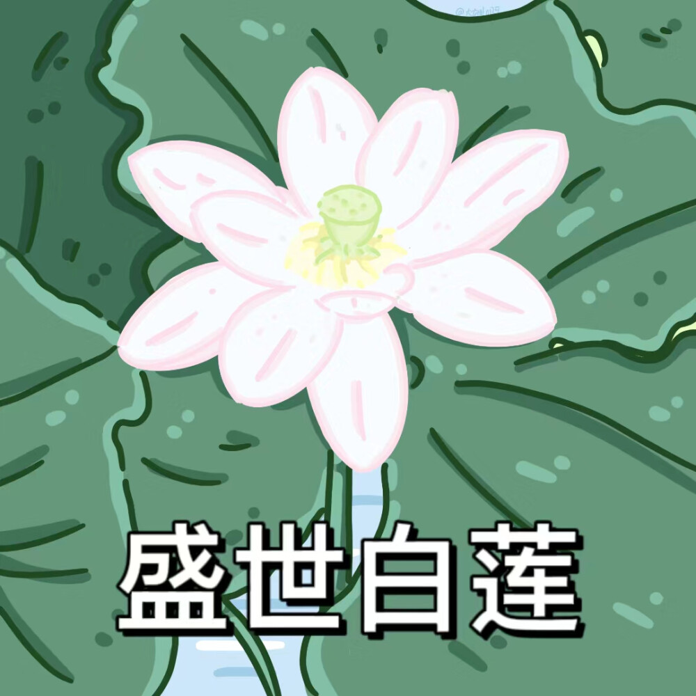 动漫头像 打坐女孩 莲花