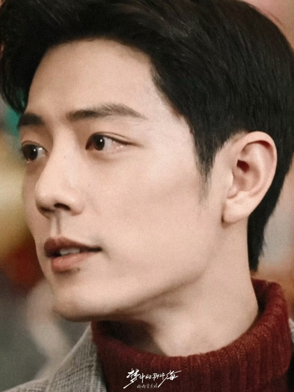 梦中的那片海｜肖春生｜肖战