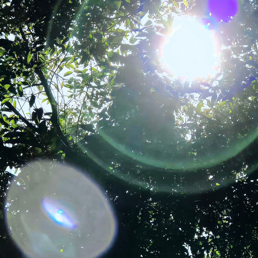 
嗨，你也喜欢我嘛？