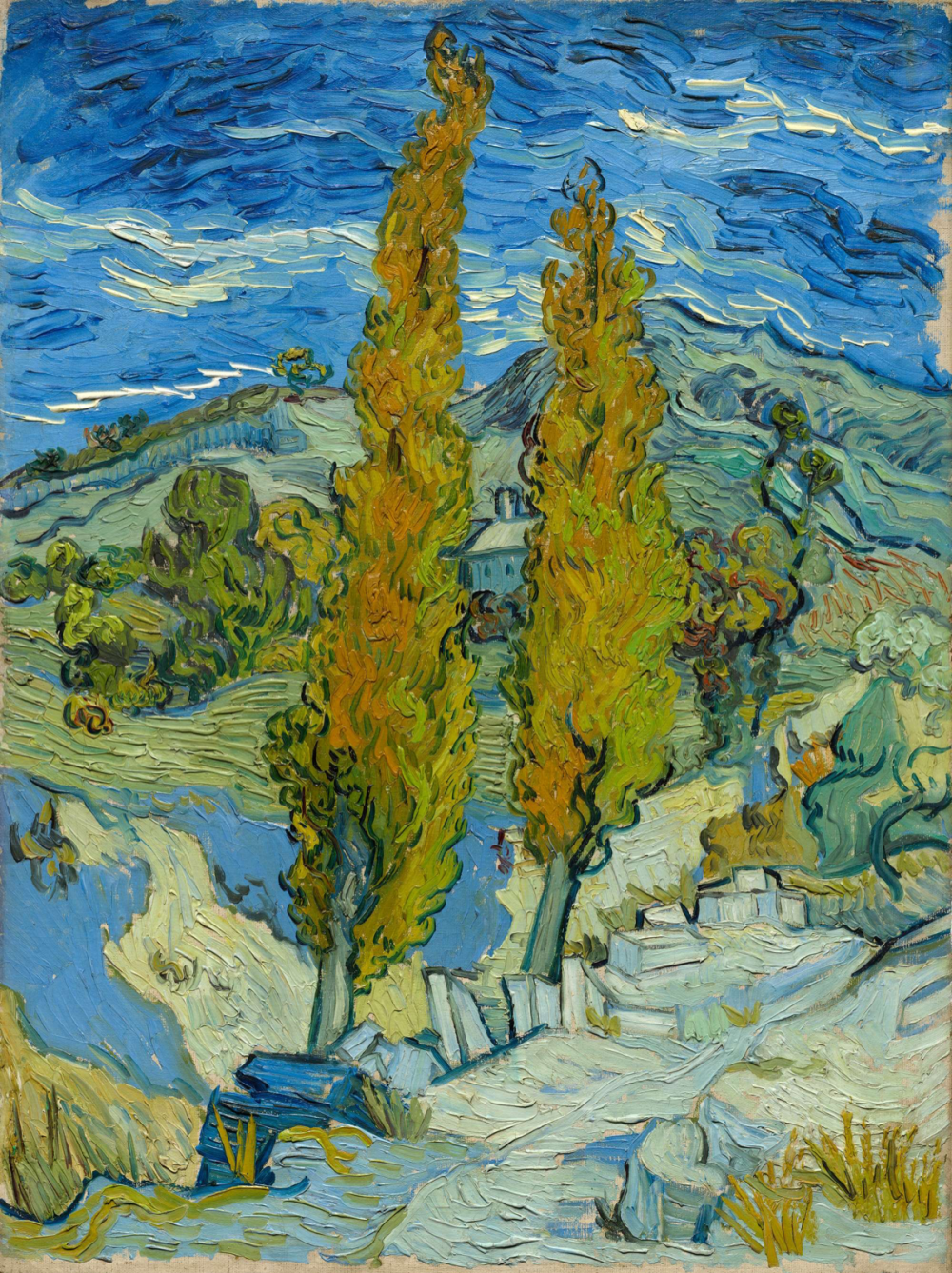 《阿尔皮耶圣雷米附近的两棵杨树》（Two Poplars in the Alpilles near Saint-Rémy），Vincent van Gogh，1889年，布面油画，美国克利夫兰艺术博物馆藏