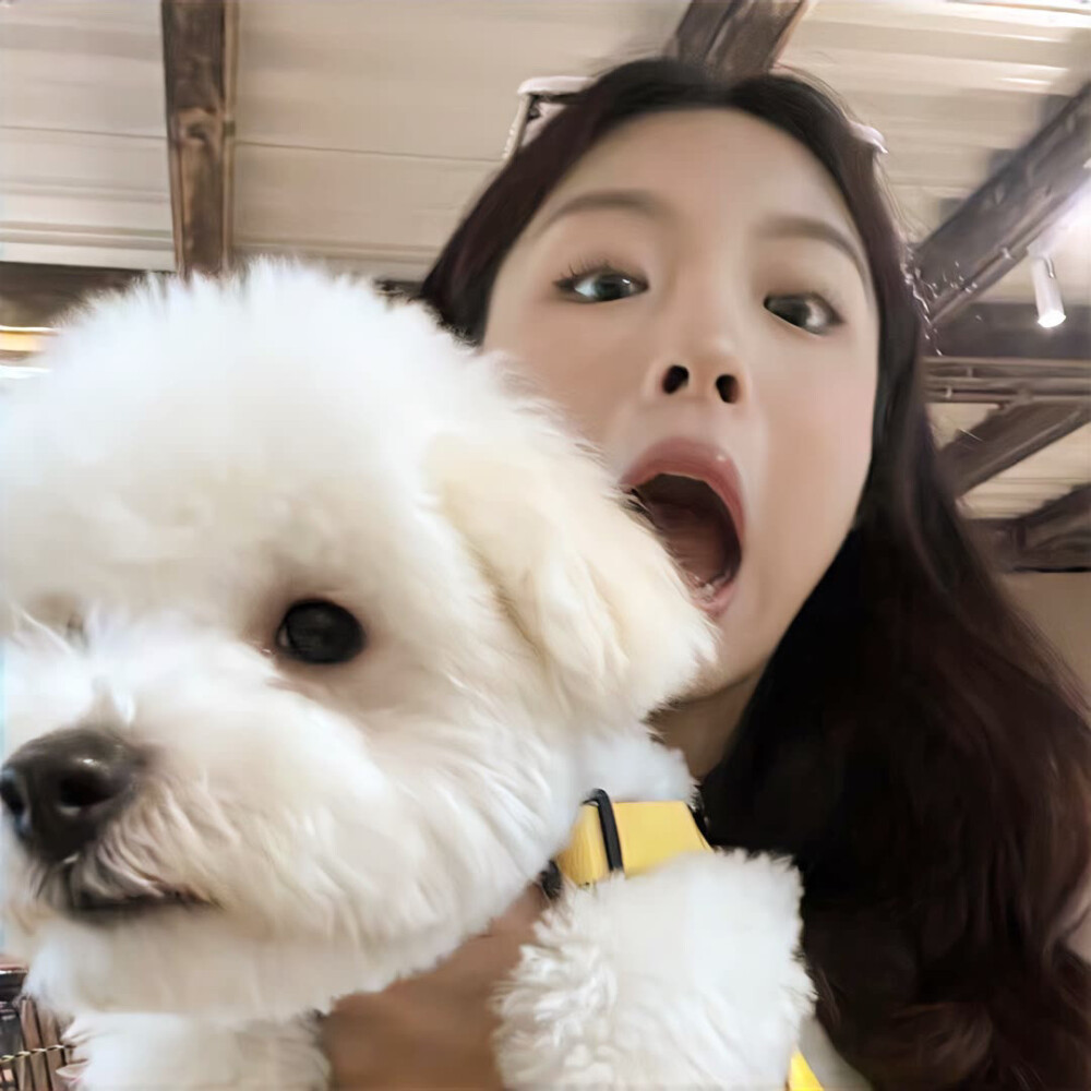 小猫喜欢你 但小猫不说 小猫希望你对号入座