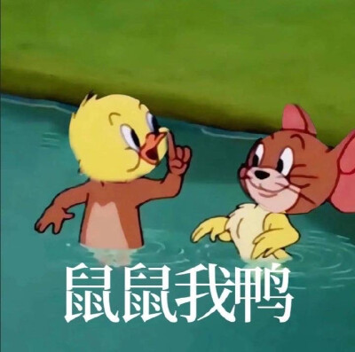 表情