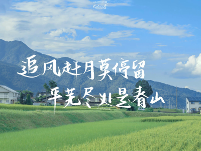 文字