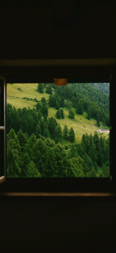 看看窗外吧 都是好风景