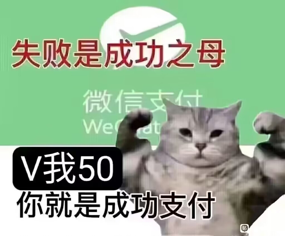 表情
