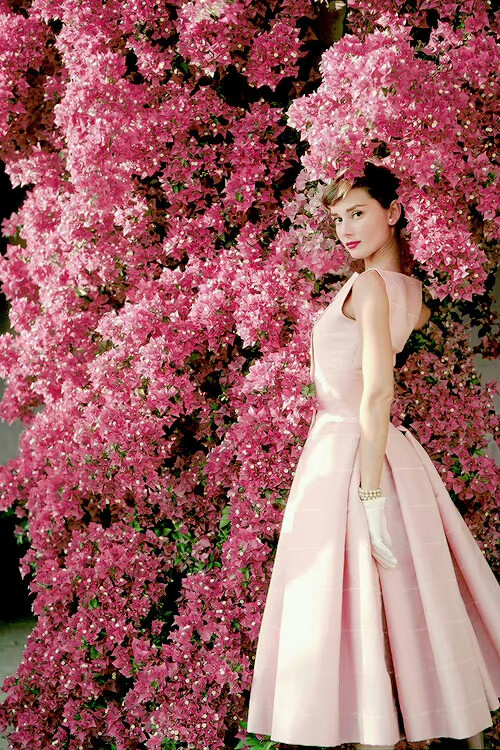 Audrey Hepburn by Norman Parkinson, 1955
weibo@not_perfect