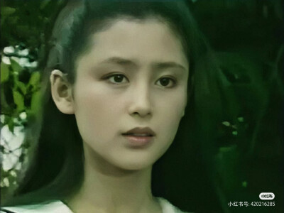 陈红