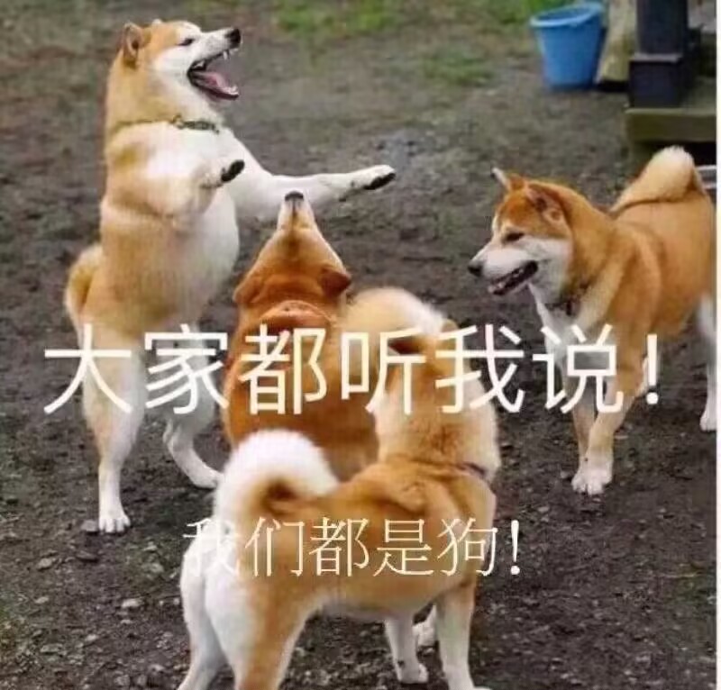 表情
