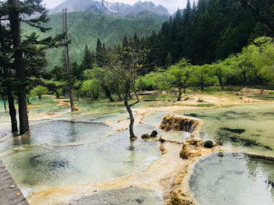 九寨沟和黄龙的一些美景～