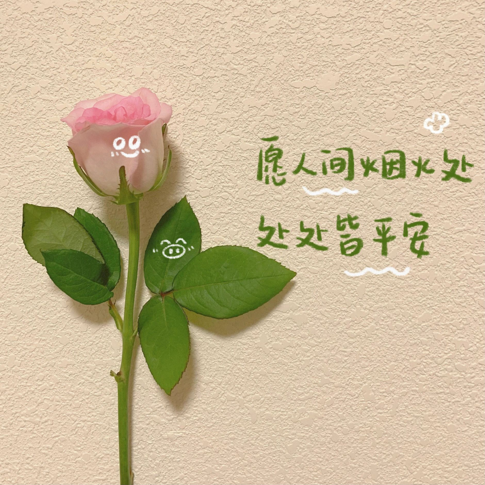 【端午节神仙文案】
©️大南瓜