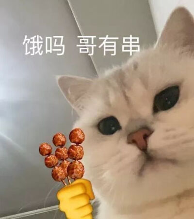 可爱，魔性，猫狗头像，表情包