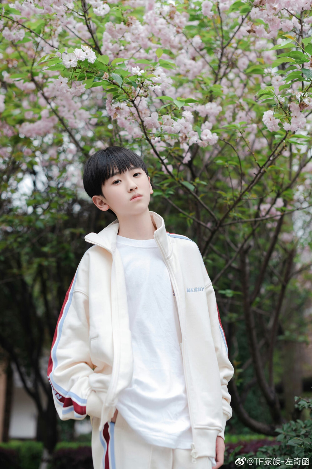 TF家族——左奇函