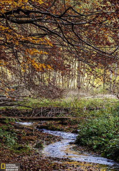 奥伊楚夫国家公园
波兰克拉科夫左近的奥伊楚夫国家公园（Ojców National Park）秋天的景观。摄影：Karol Kozlowski