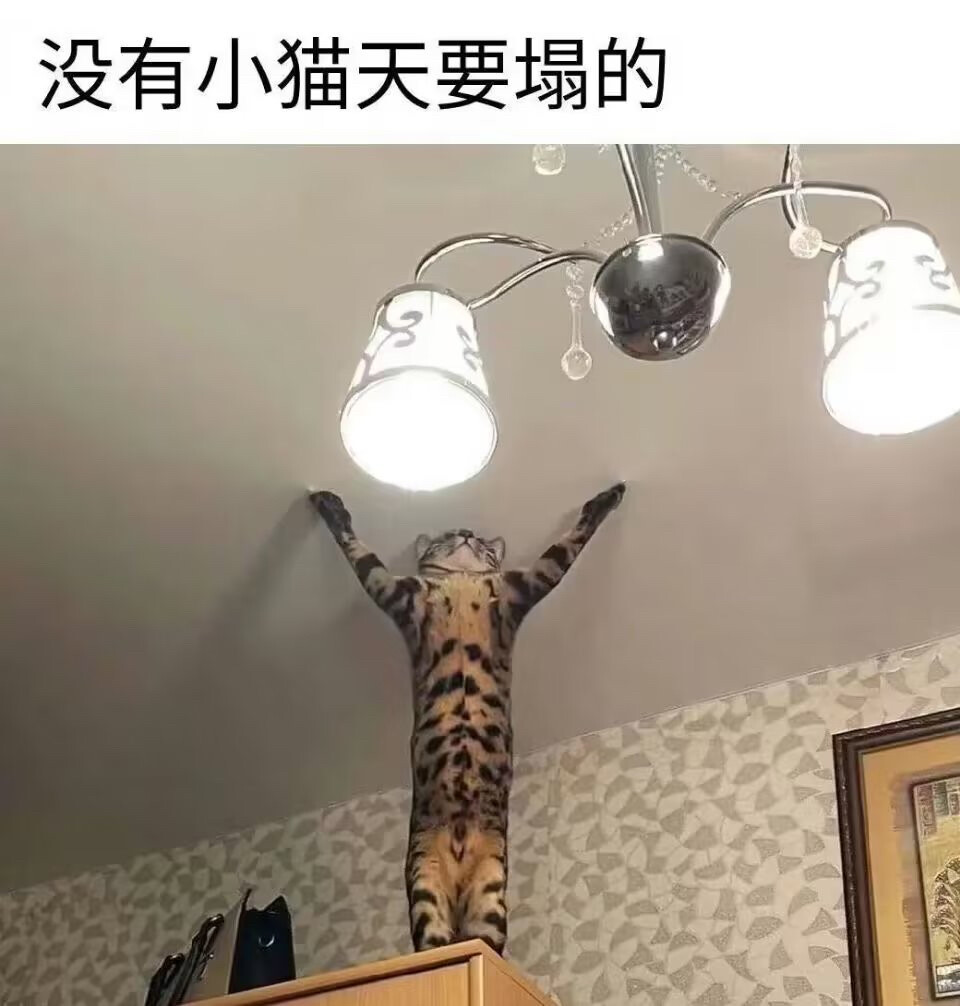 没有小猫天要塌的