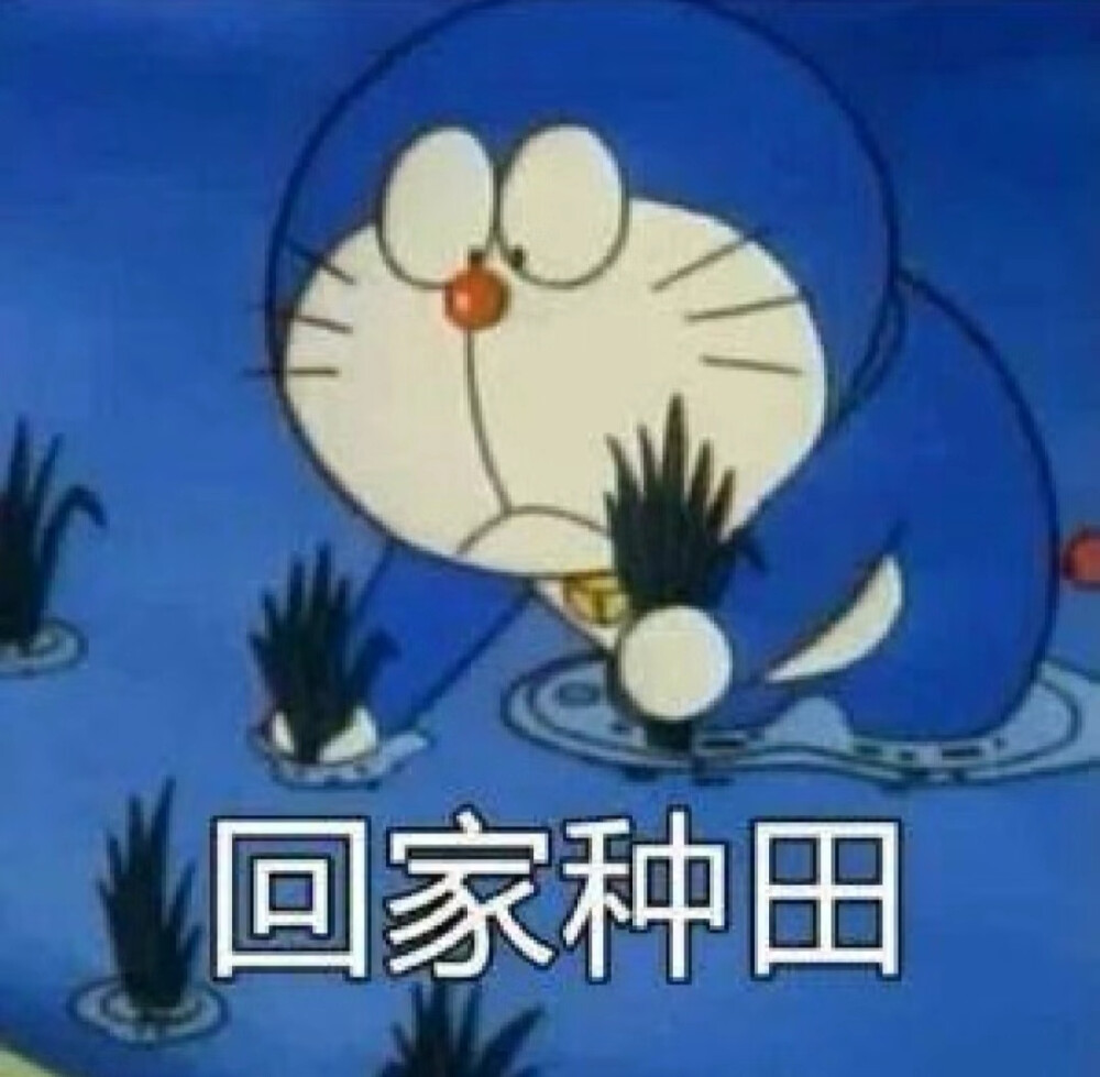 表情包