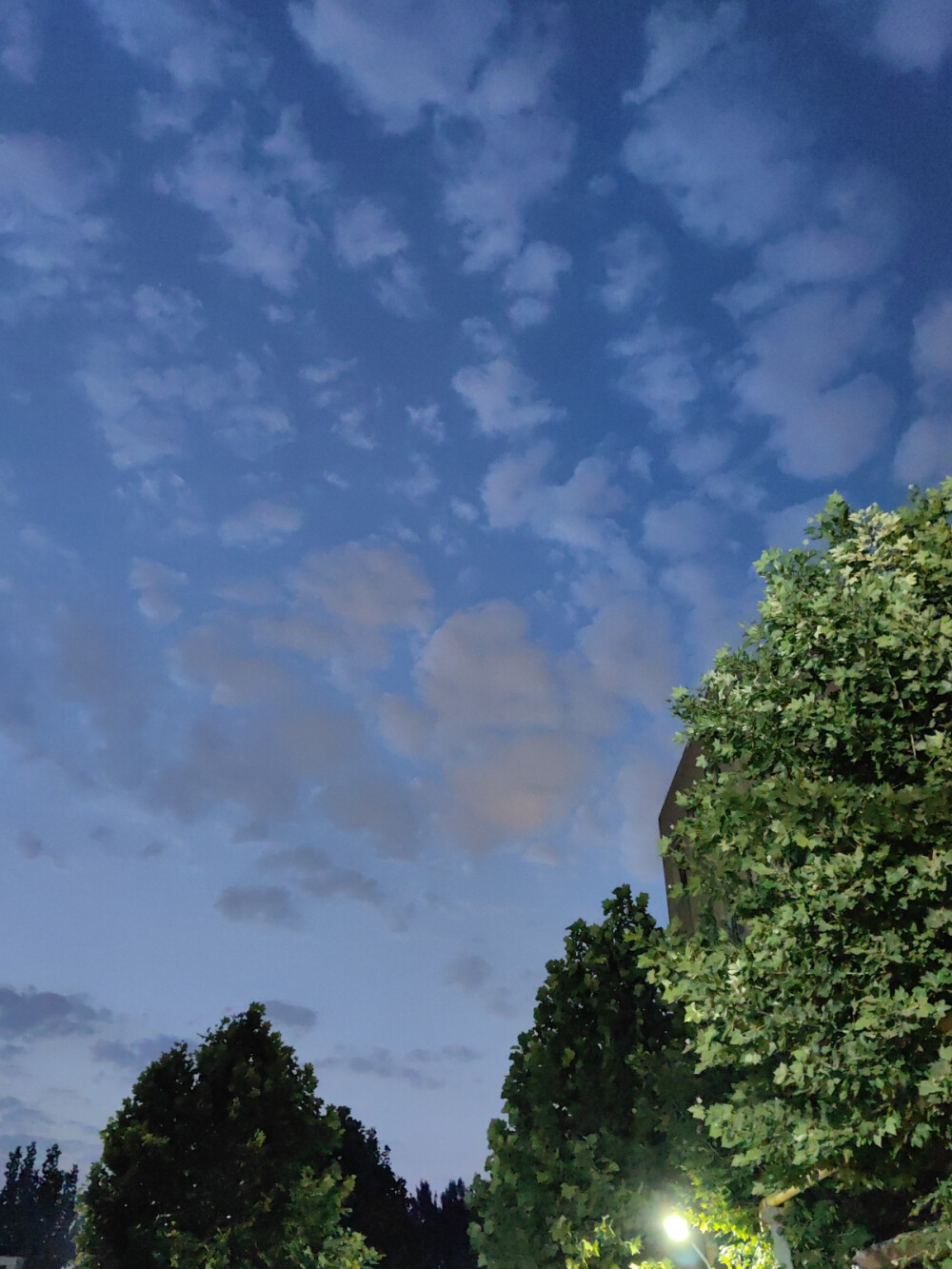 夏夜晚风