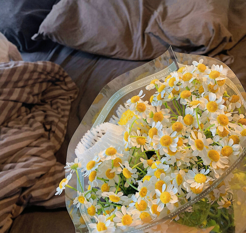 ·月出皎兮，佼人僚兮。
原cr江时树