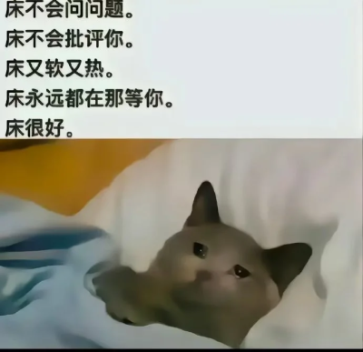 表情
能睡就睡，不睡稀碎