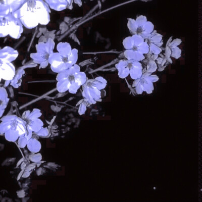 ＊：闵先生,当你抬头仰望时,你又在想什么呢＇