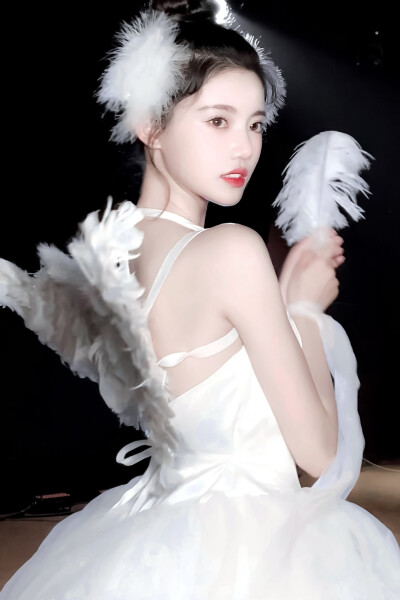 
//Swan&White //-Zhenni