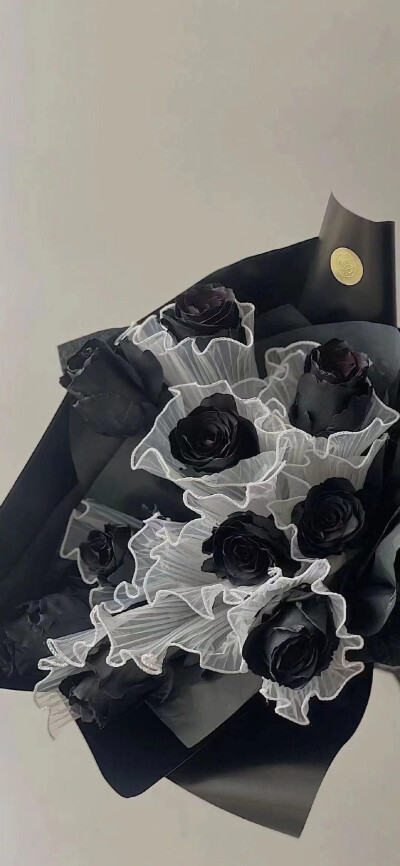 ins风高级感黑白壁纸