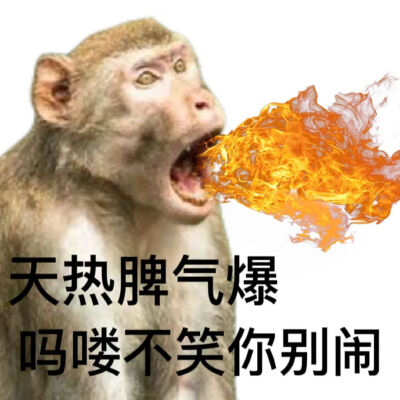 天热脾气爆
吗喽不笑你别闹