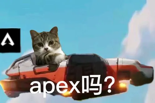 APEX