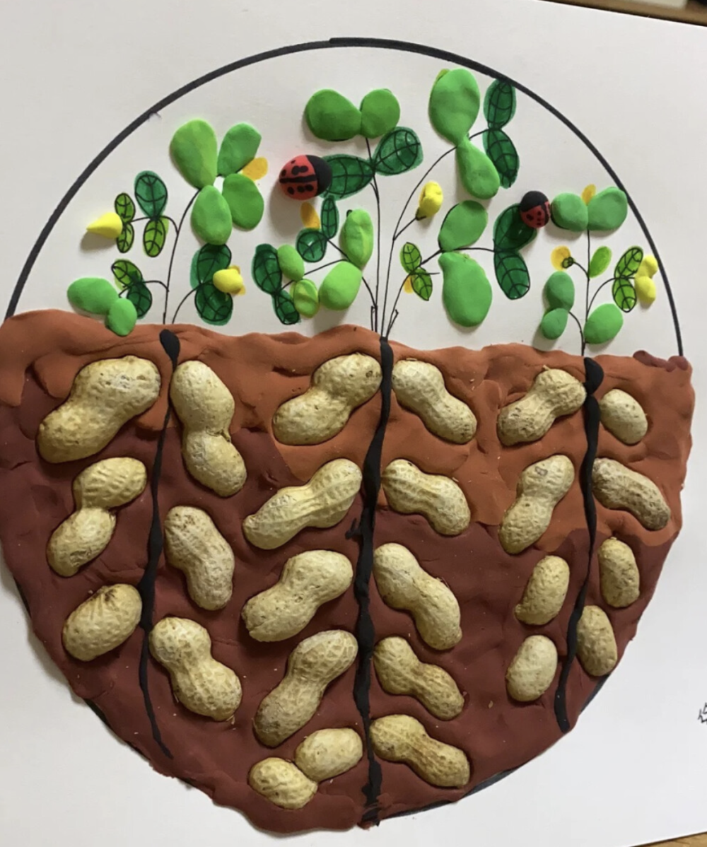 生活中的艺术课