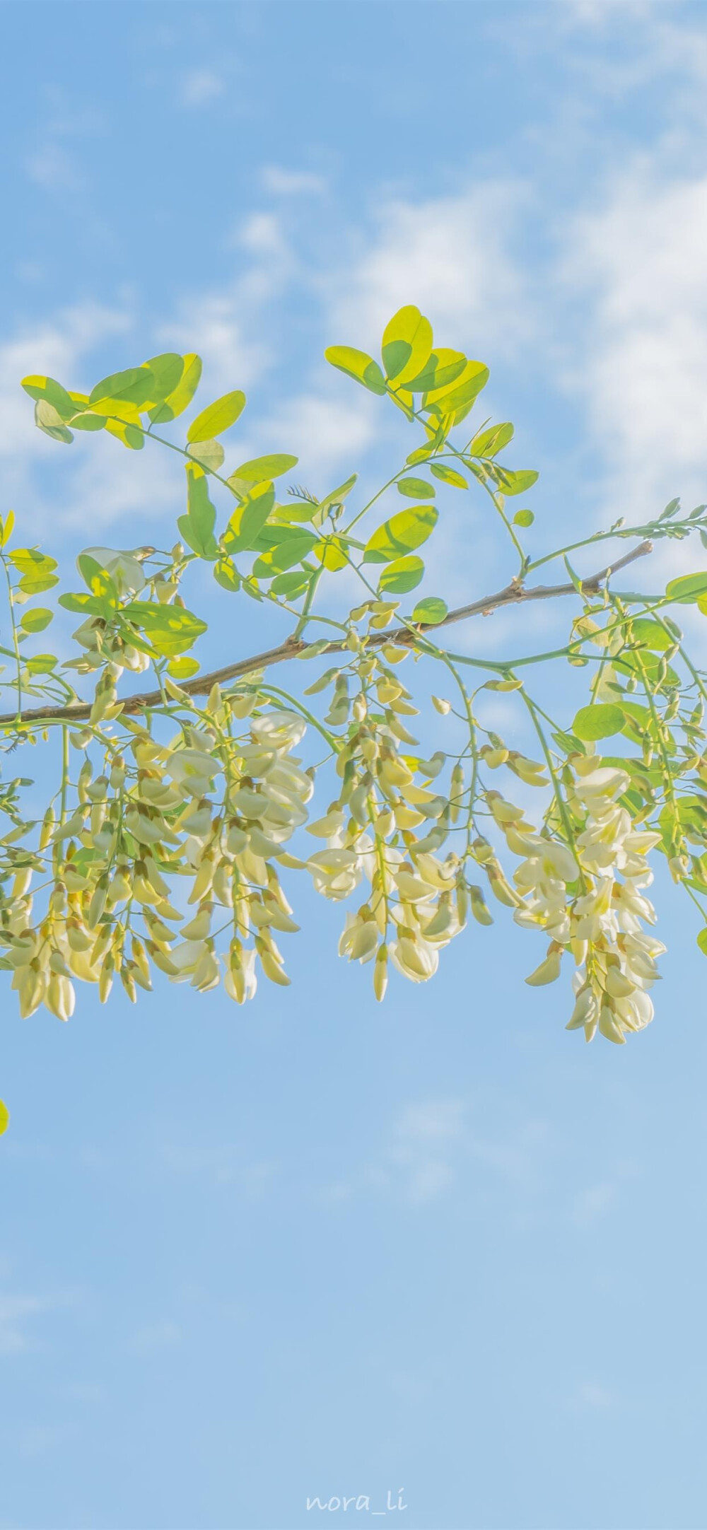 烟火人间，各有遗憾，没觉得一年比一年自由，但却总一年比一年通透了，总有一天那些你曾认为跨越不了的坎 都会走着走着就填平了.....
