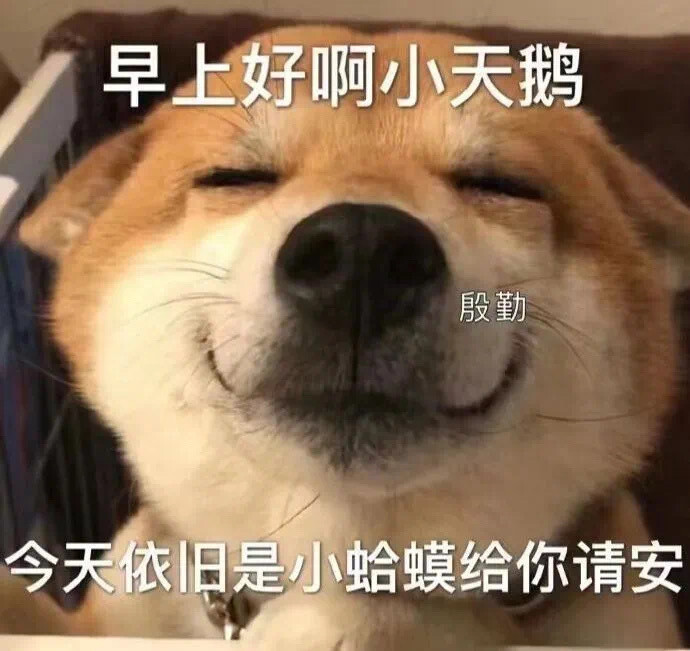 搞笑表情包