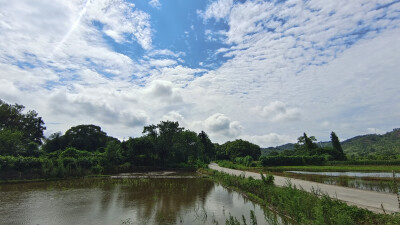 蓝天白云下的田园风光（6月27日摄于吉安市安福县）