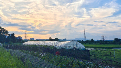 夕阳下的田园风光（6月27日摄于吉安市安福县）