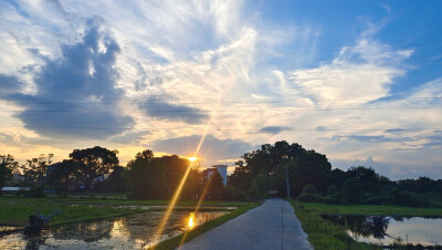 夕阳下的田园风光（6月27日摄于吉安市安福县）