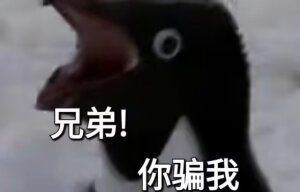 默认专辑