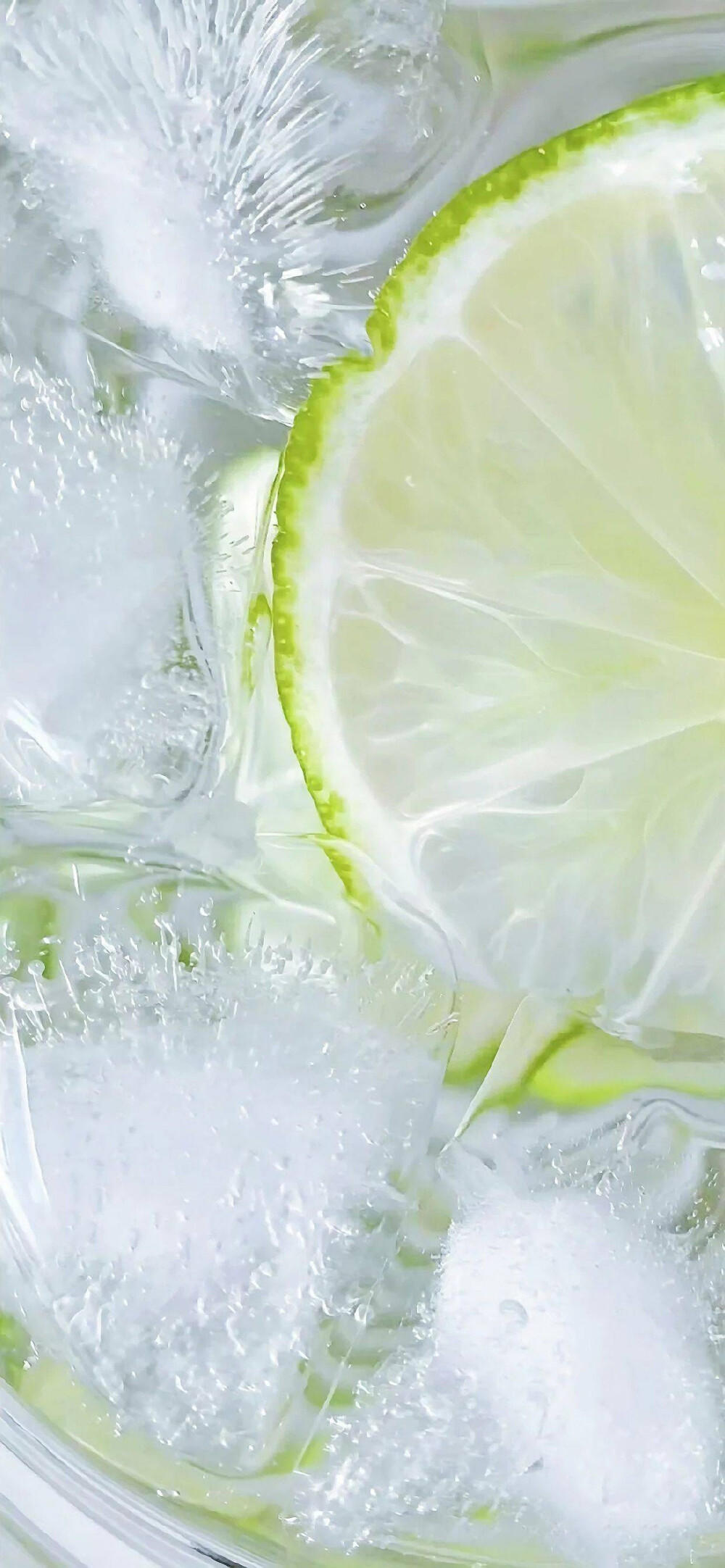 壁纸@一只奶糖鼠