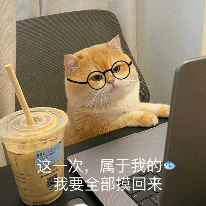 超可爱猫咪表情包