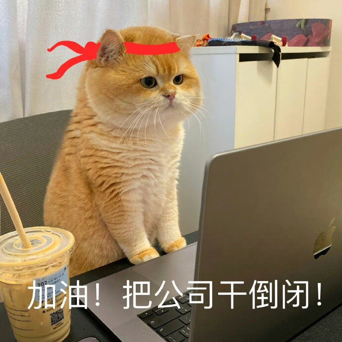 超可爱猫咪表情包