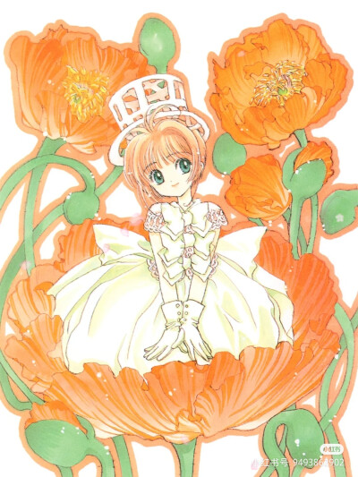 木之本樱