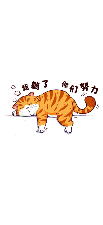 猫咪壁纸