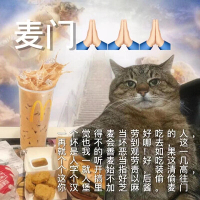 麦当lou汉堡houhouhou，麦当lou鼠条tiutiutiu