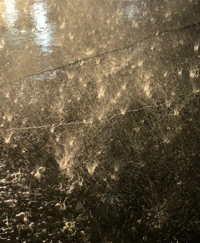 雨是神的烟花 背景