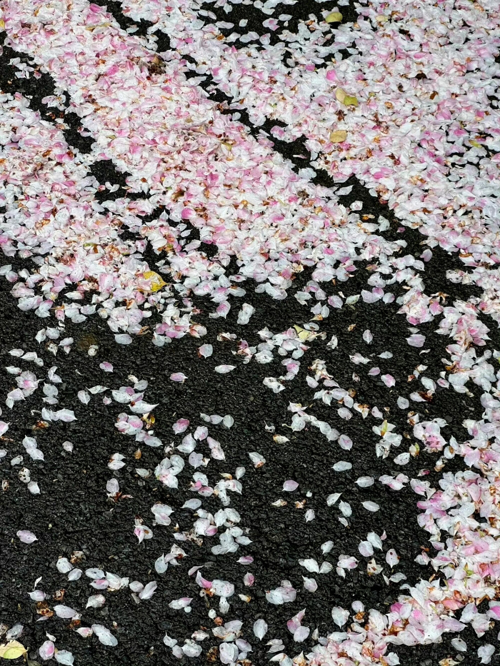 雨天赠予的浪漫