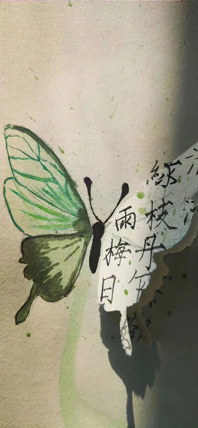 壁纸侵删