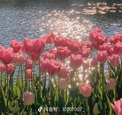 巨好看背景图，都是不同系列的，每种系列都有挑哦，炒鸡好看