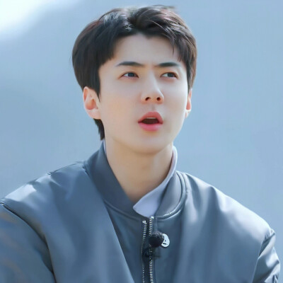 吴世勋 sehun