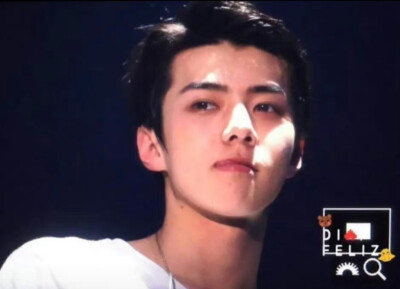 吴世勋 sehun