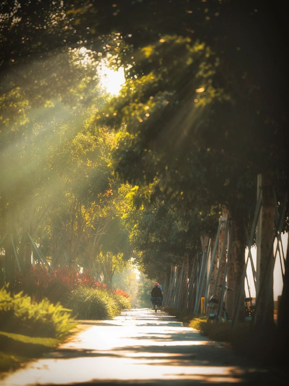 阳光撞了南墙 ​​​