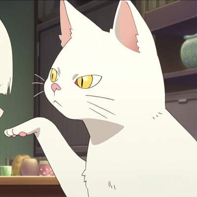 猫猫情头｜动漫情头｜对象不是人
来源:小红书@鱼柒文
